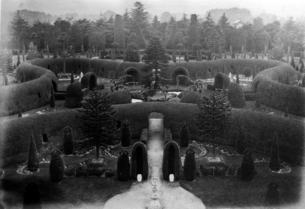 Derby Arboretum