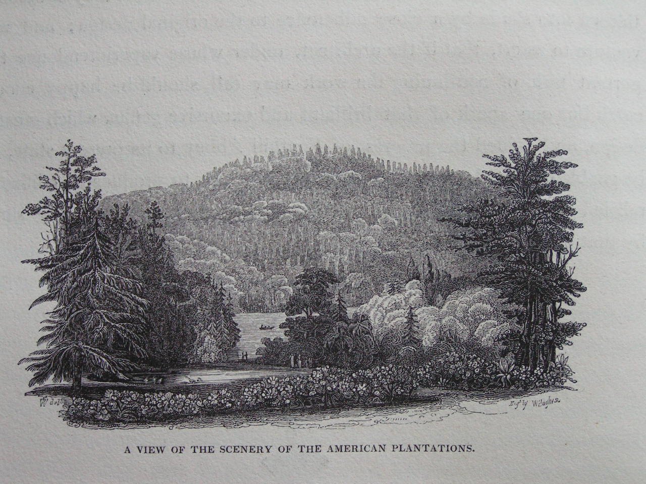 American Gardens