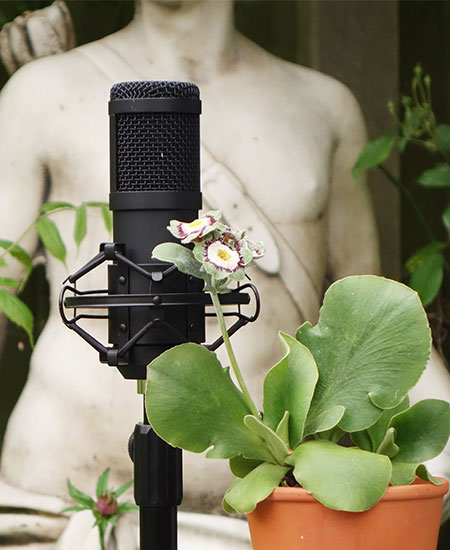 The Garden History Podcast Logo