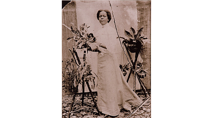 History of pot plants